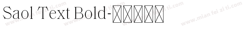 Saol Text Bold字体转换